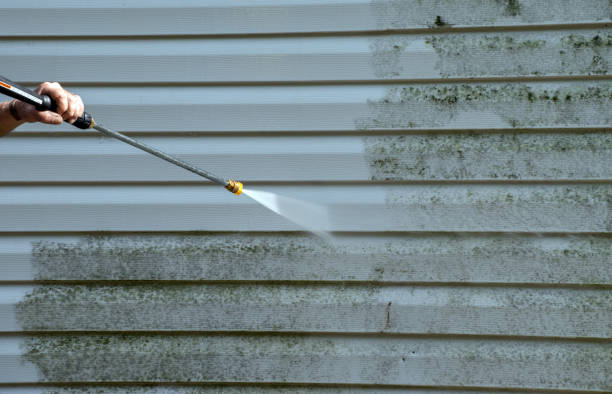 Animal Enclosure Cleaning in Johnston, IA